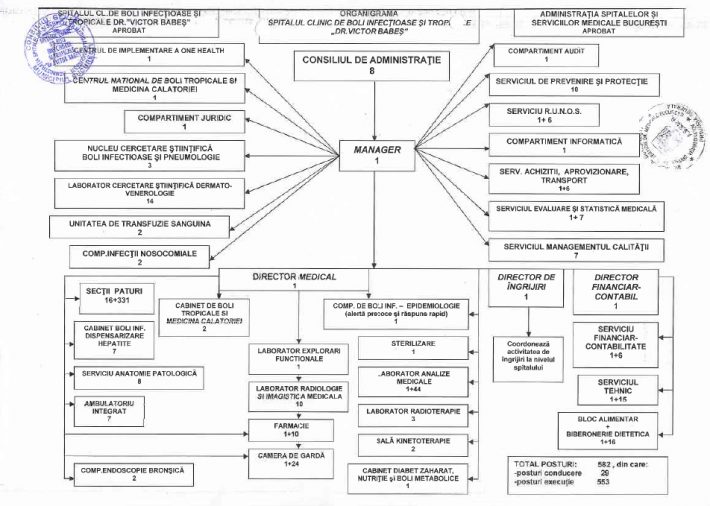 organigrama